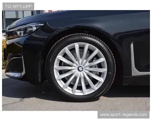 奔驰宝马下注技巧详解帮助玩家提升胜率的实用攻略